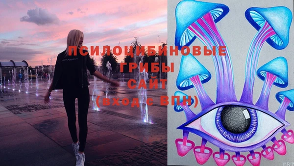 прущая мука Верея